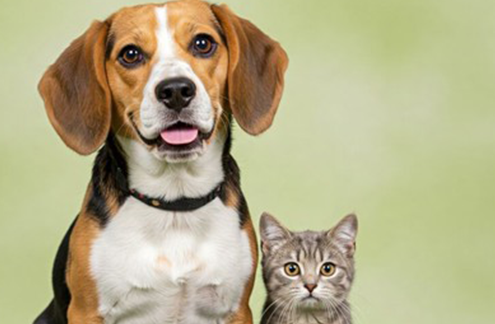 Commission Afstal ComCad